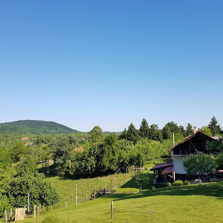 Guest House Pinus Generalski Stol Extérieur photo