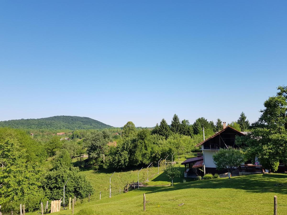 Guest House Pinus Generalski Stol Extérieur photo